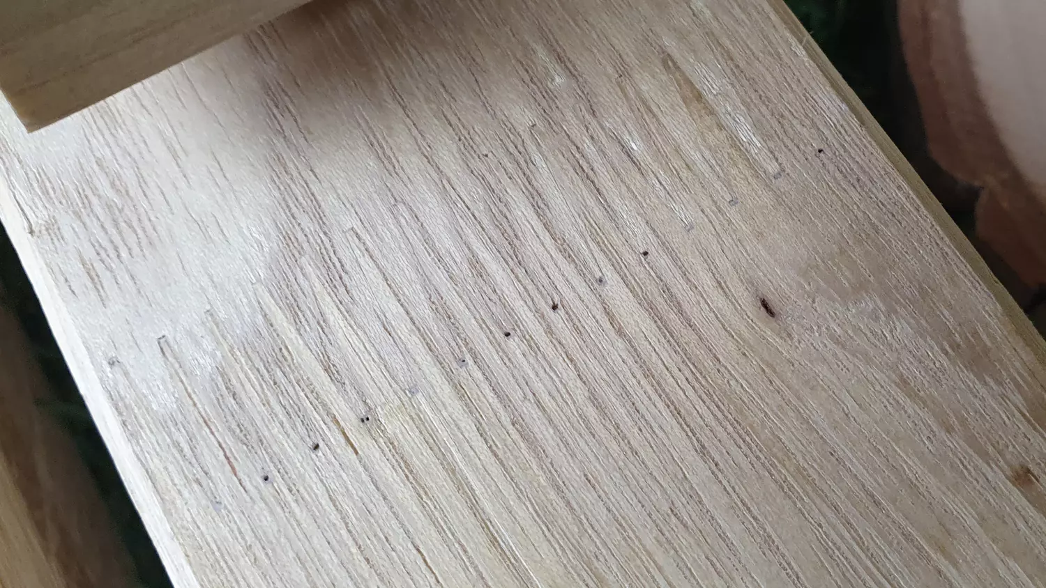 Unterkonstruktion Robinie 45x60mm, Länge 3,00m, egalisiert, schichtverleimt, keilgezinkt, gefast